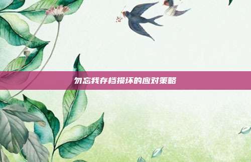 勿忘我存档损坏的应对策略