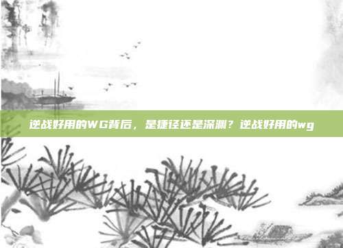 逆战好用的WG背后,是捷径还是深渊?逆战好用的wg