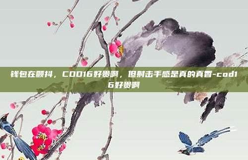 钱包在颤抖，COD16好贵啊，但射击手感是真的真香-cod16好贵啊