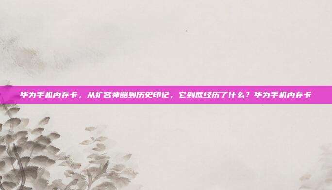 华为手机内存卡，从扩容神器到历史印记，它到底经历了什么？华为手机内存卡