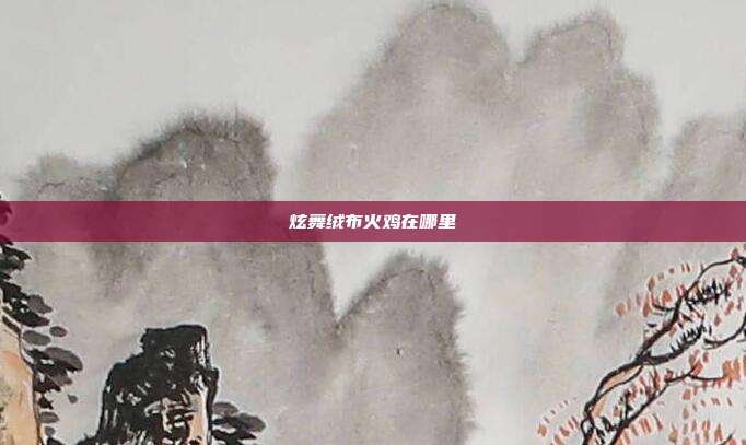 炫舞绒布火鸡在哪里