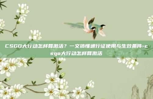 CSGO大行动怎样算激活？一文搞懂通行证使用与生效条件-csgo大行动怎样算激活