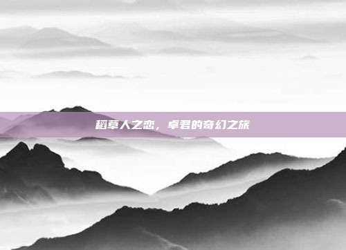 稻草人之恋,卓君的奇幻之旅