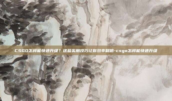 CSGO怎样能快速升级?这些实用技巧让你效率翻倍-csgo怎样能快速升级