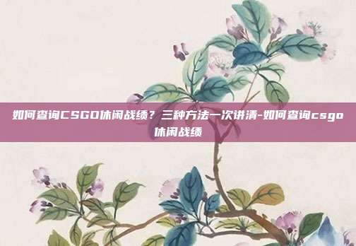 如何查询CSGO休闲战绩？三种方法一次讲清-如何查询csgo休闲战绩