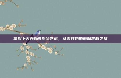 掌握上古卷轴5捏脸艺术,从零开始的面部定制之旅