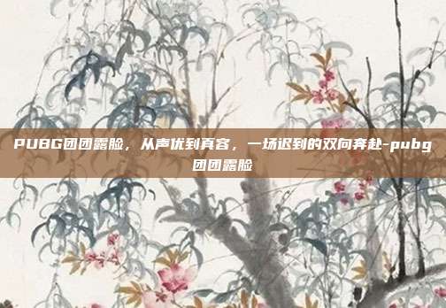 PUBG团团露脸,从声优到真容,一场迟到的双向奔赴-pubg团团露脸