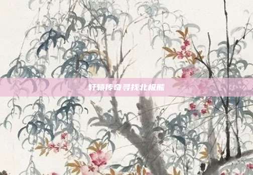 轩辕传奇寻找北极熊