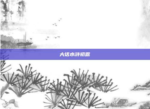 大话水浒初露
