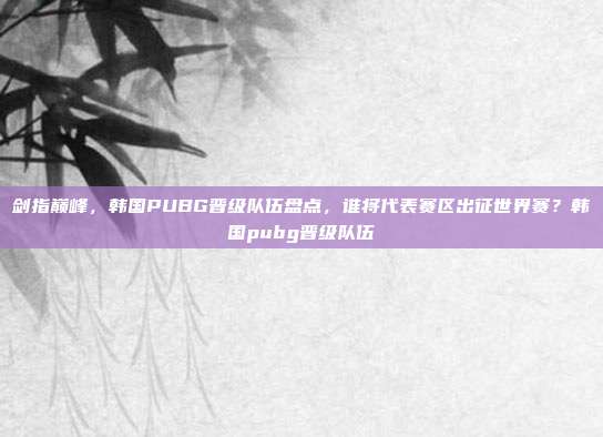 剑指巅峰，韩国PUBG晋级队伍盘点，谁将代表赛区出征世界赛？韩国pubg晋级队伍