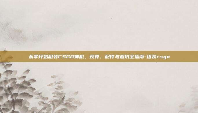 从零开始组装CSGO神机,预算、配件与避坑全指南-组装csgo