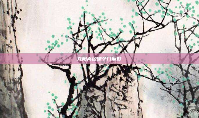 九阴真经哪个门派好