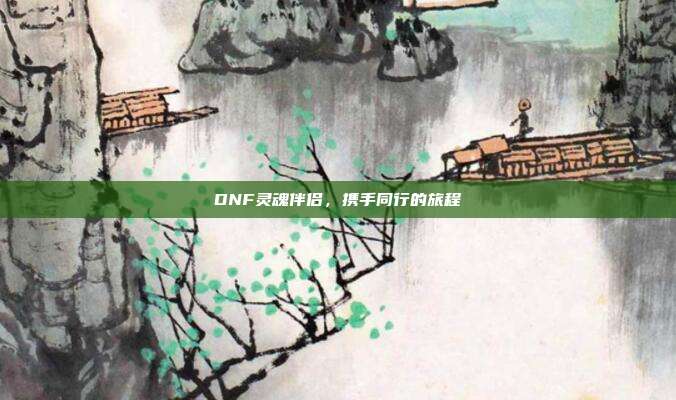 DNF灵魂伴侣,携手同行的旅程