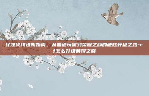 穿越火线进阶指南，从普通玩家到荣耀之巅的硬核升级之路-cf怎么升级荣耀之巅