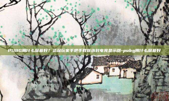 PUBG用什么屏幕好?资深玩家手把手教你选对电竞显示器-pubg用什么屏幕好