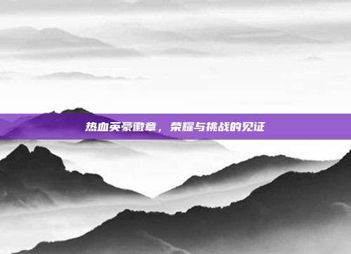 热血英豪徽章,荣耀与挑战的见证