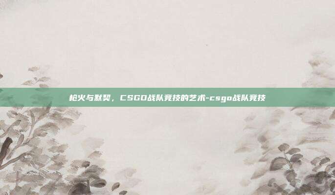 枪火与默契，CSGO战队竞技的艺术-csgo战队竞技