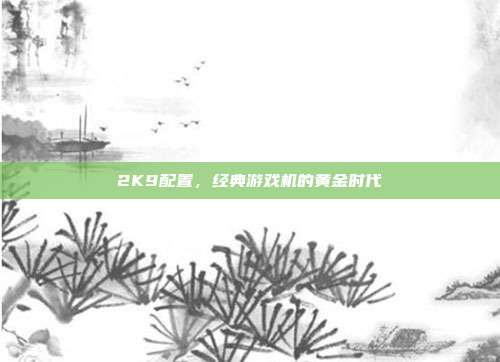 2K9配置,经典游戏机的黄金时代