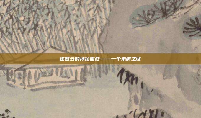 崔智云的神秘面纱——一个未解之谜
