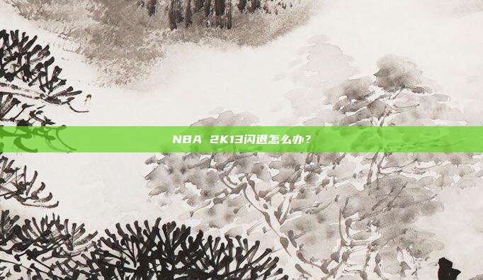 NBA 2K13闪退怎么办?