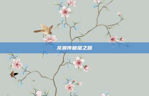龙狼传破凰之路
