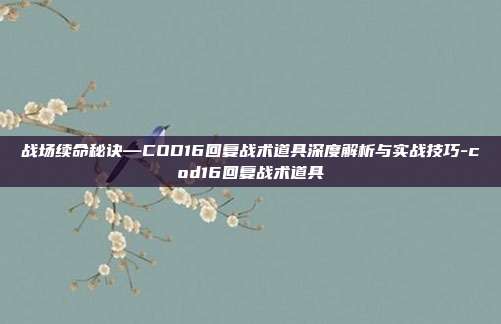 战场续命秘诀—COD16回复战术道具深度解析与实战技巧-cod16回复战术道具