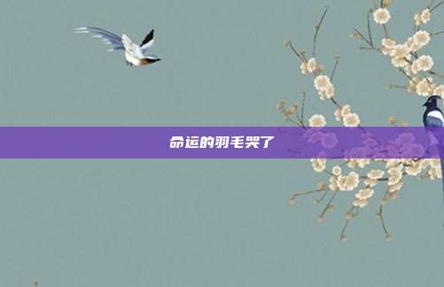 命运的羽毛哭了