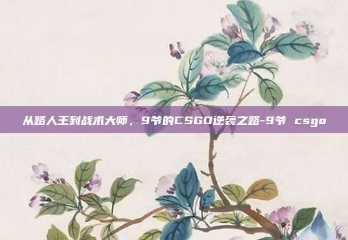 从路人王到战术大师，9爷的CSGO逆袭之路-9爷 csgo