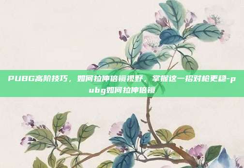 PUBG高阶技巧,如何拉伸倍镜视野,掌握这一招对枪更稳-pubg如何拉伸倍镜