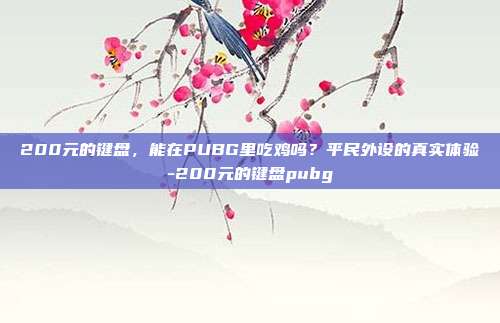 200元的键盘，能在PUBG里吃鸡吗？平民外设的真实体验-200元的键盘pubg