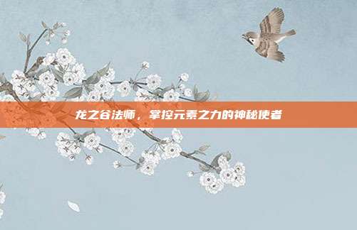 龙之谷法师，掌控元素之力的神秘使者