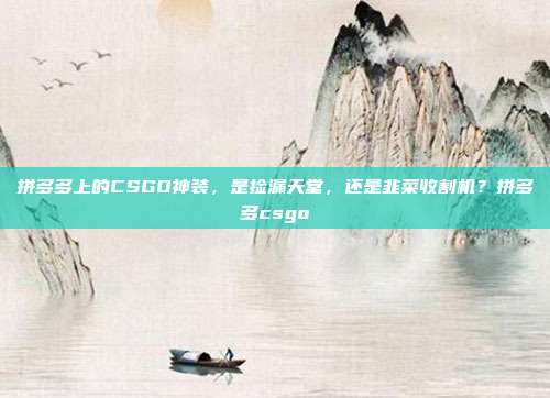 拼多多上的CSGO神装，是捡漏天堂，还是韭菜收割机？拼多多csgo
