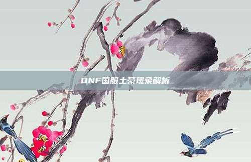 DNF国服土豪现象解析