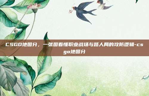 CSGO地图分，一张图看懂职业战场与路人局的攻防逻辑-csgo地图分