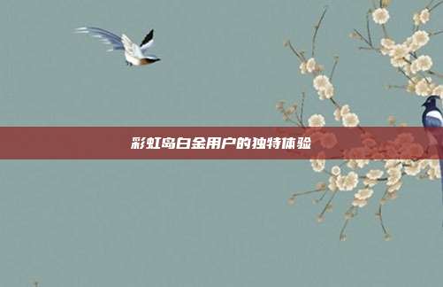 彩虹岛白金用户的独特体验