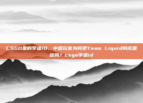 CSGO里的李逵ID，中国玩家为何把Team Liquid叫成黑旋风？csgo李逵id