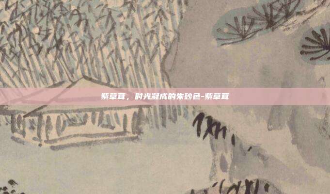 紫草茸，时光凝成的朱砂色-紫草茸