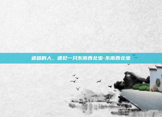 迷路的人，遇见一只东南西北虫-东南西北虫