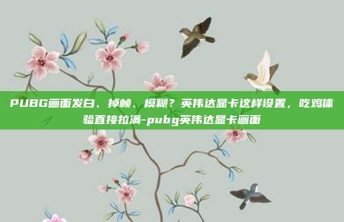 PUBG画面发白、掉帧、模糊？英伟达显卡这样设置，吃鸡体验直接拉满-pubg英伟达显卡画面