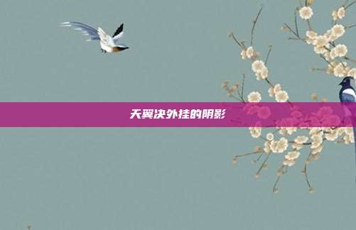 天翼决外挂的阴影