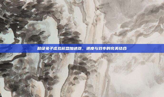 超级兔子虚拟磁盘加速器，速度与效率的完美结合