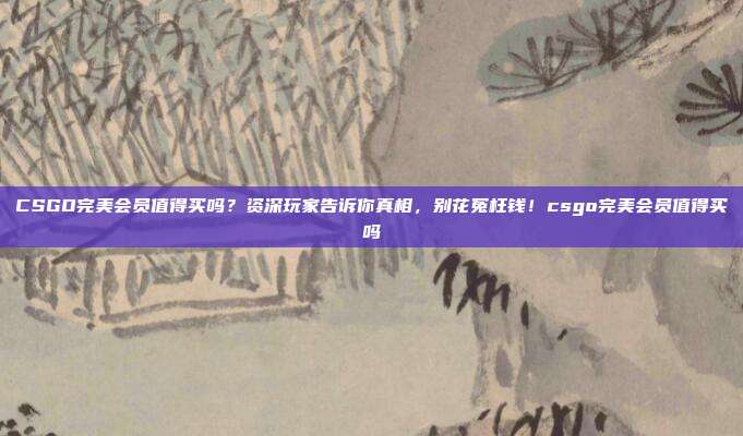 CSGO完美会员值得买吗？资深玩家告诉你真相，别花冤枉钱！csgo完美会员值得买吗