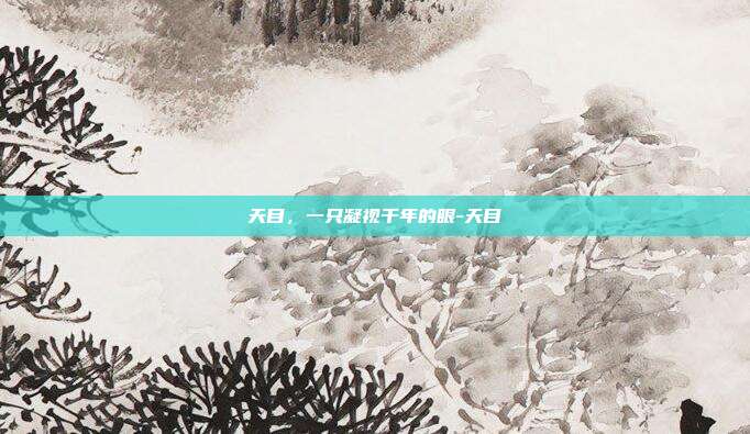 天目，一只凝视千年的眼-天目