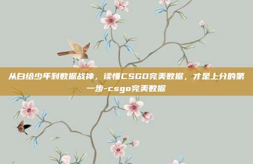 从白给少年到数据战神，读懂CSGO完美数据，才是上分的第一步-csgo完美数据