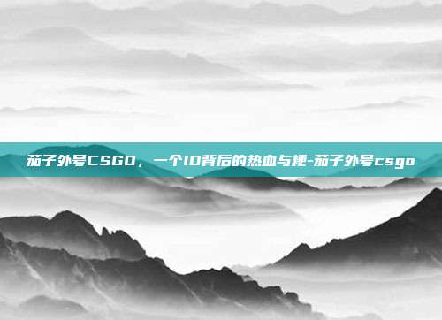 茄子外号CSGO，一个ID背后的热血与梗-茄子外号csgo