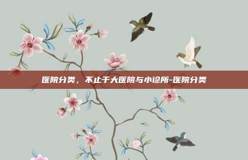 医院分类，不止于大医院与小诊所-医院分类