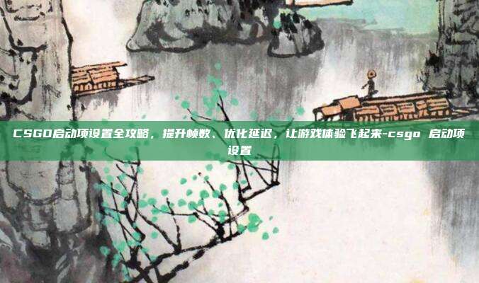 CSGO启动项设置全攻略，提升帧数、优化延迟，让游戏体验飞起来-csgo 启动项设置