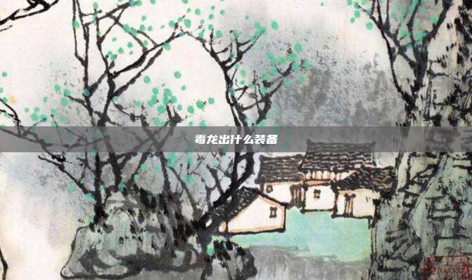 毒龙出什么装备
