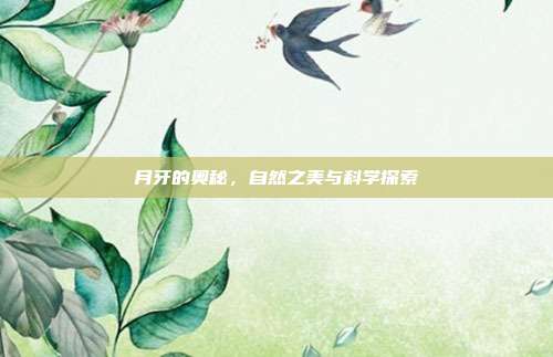 月牙的奥秘，自然之美与科学探索