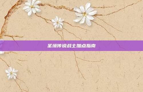 圣境传说战士加点指南